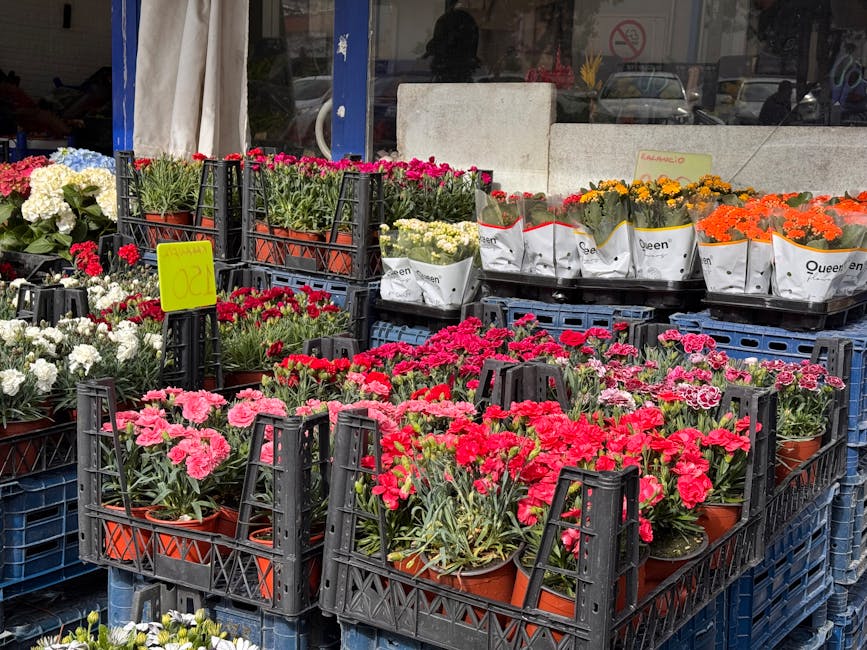 A display of potted carnations and chrysanthemums arranged in black plastic crates outside a flower shop. The flowers are vibrant pink, red, white, yellow, and orange, with lush green foliage. The pot