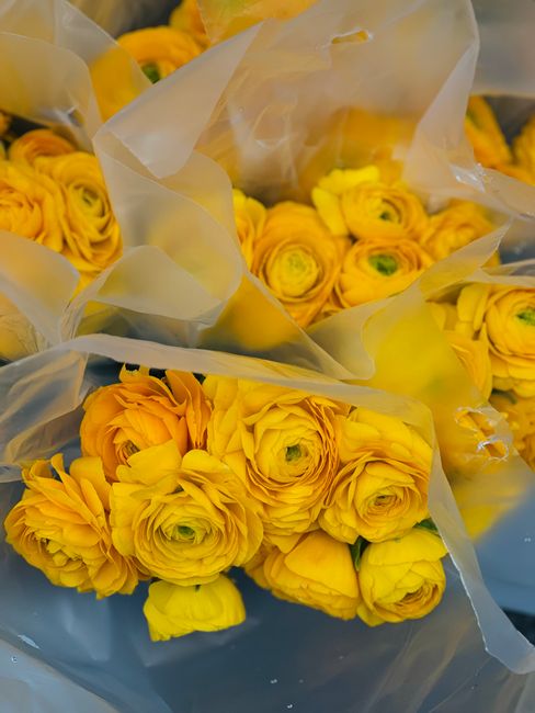 A close-up image of vibrant yellow ranunculus flowers with tightly layered petals, arranged in a bouquet. The flowers are wrapped in translucent, slightly crinkled white paper, which partially reveals
