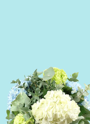 Same day Flowers 